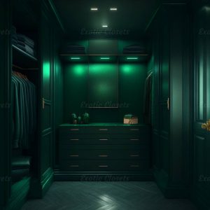 Dark Green Finish U-Shaped Luxury Walk-In Closet with Lights and Quartz Island 1 | Exotic Closets