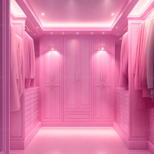 Dusty Rose Finish U-Shaped Luxury Walk-In Closet with Lights and Quartz Island 3 | Exotic Closets